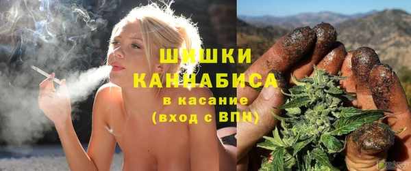 бошки Богородицк