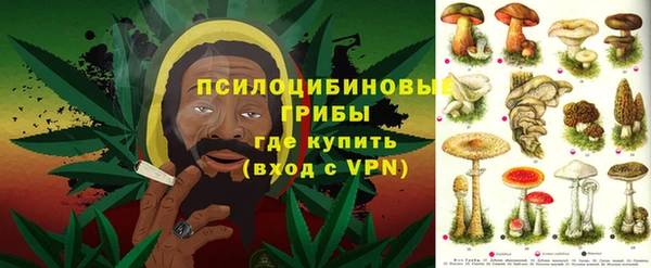 бошки Богородицк