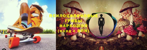 бошки Богородицк