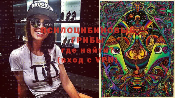 амф Богданович