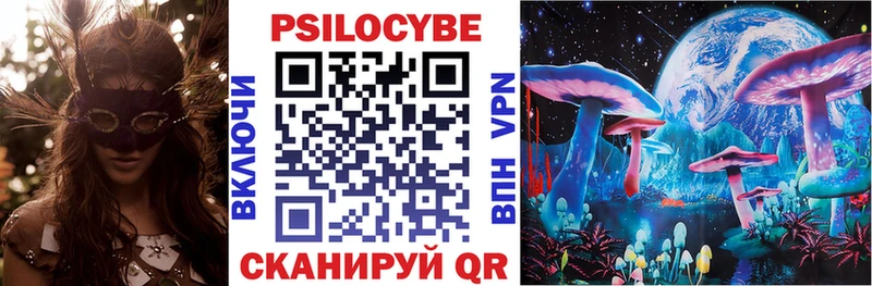 MEGA   Буйнакск  Псилоцибиновые грибы Psilocybine cubensis 